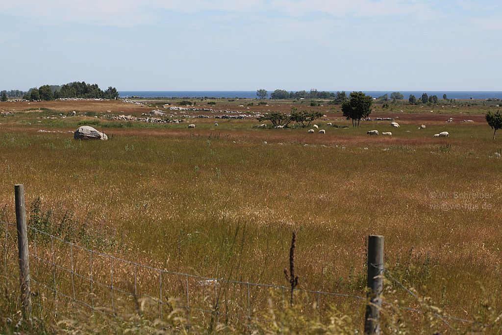 090629-1793 - Kulturlandschaft bei Sandby